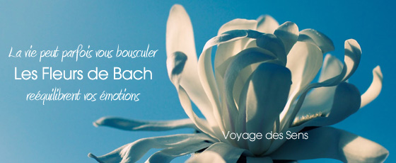 Complexe Fleurs de Bach Relaxation Zen Bio - Biofloral